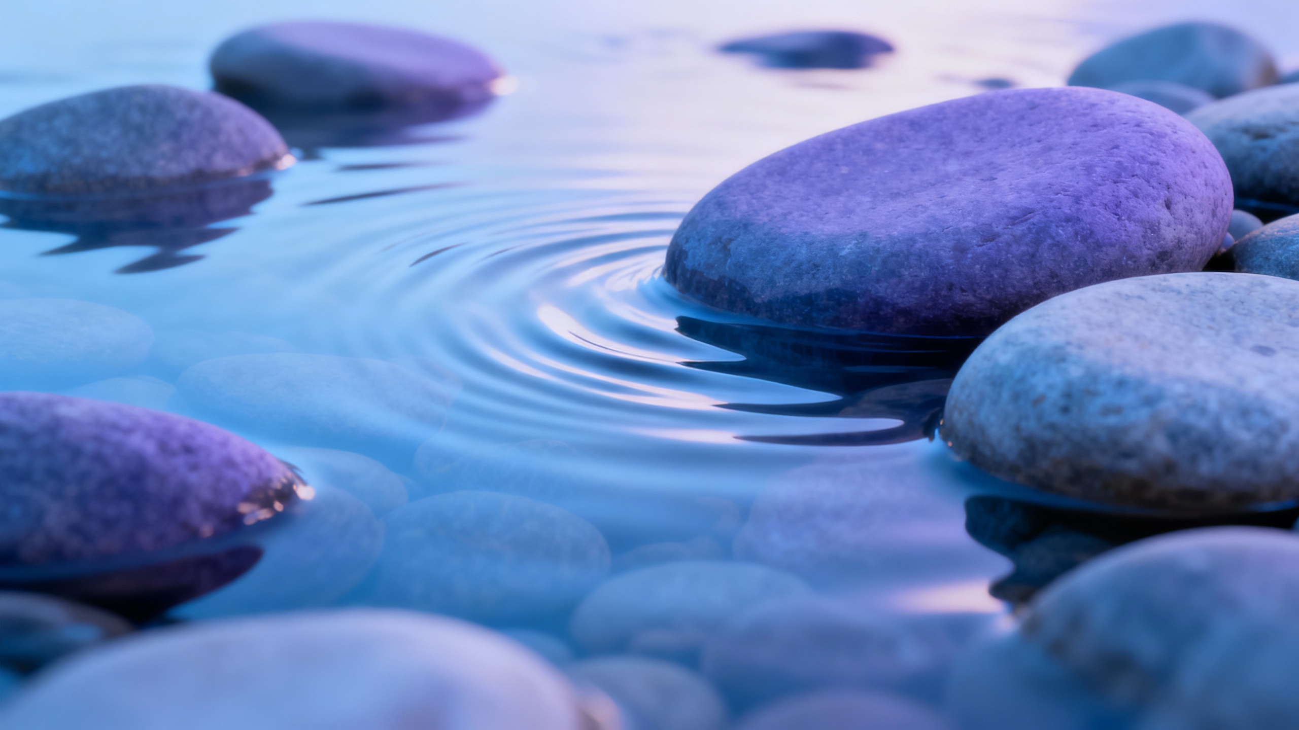 Featured image for Unleashing Relief: Coping Strategies for Erythema Multiforme Symptoms