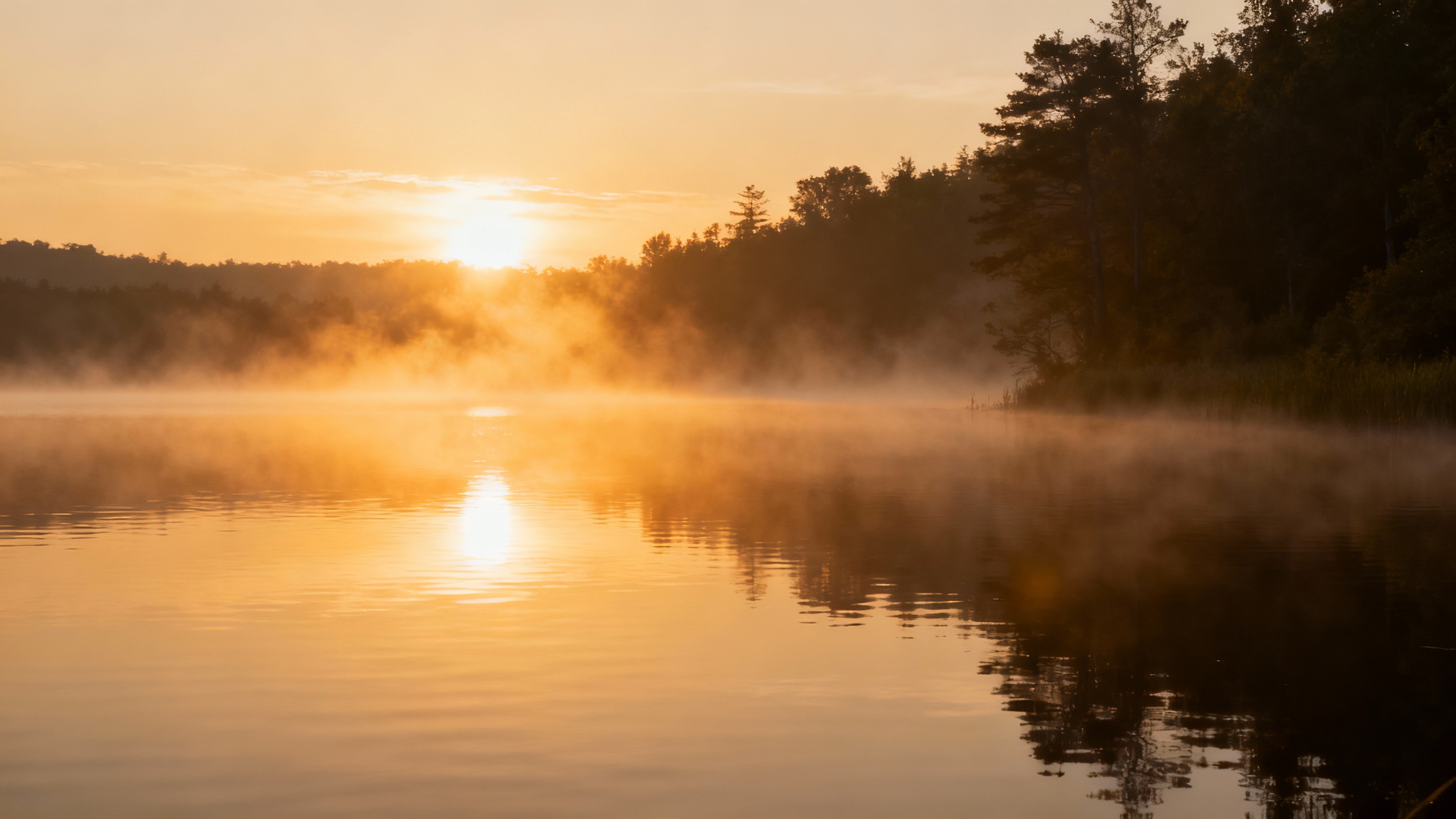 Featured image for Finding Your Glow: Strengthening Self-Esteem with Erythema Multiforme